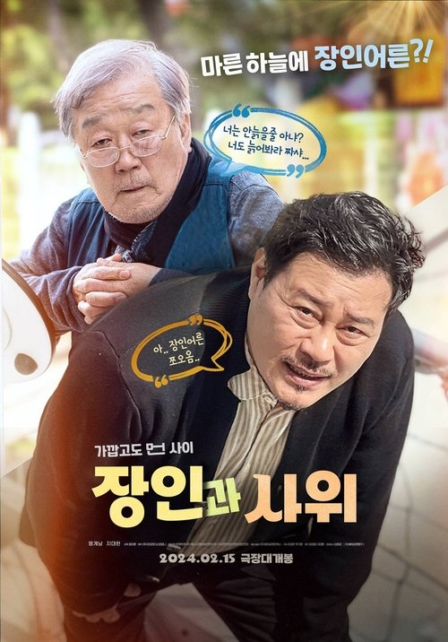 Movie poster for Father-in-law and Son-in-law (2024)