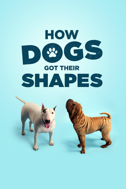 Movie poster for How Dogs Got Their Shapes (2016)