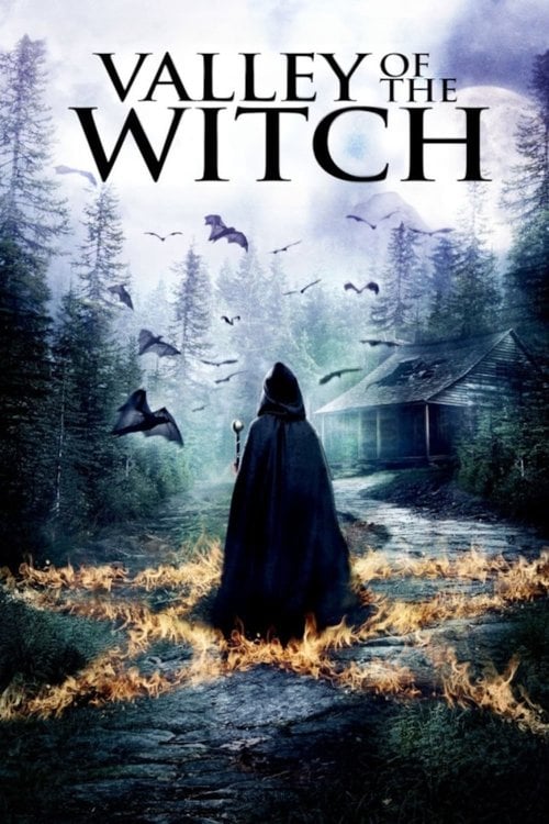 Movie poster for Valley of the Witch (2015)