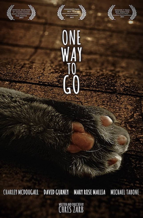 Movie poster for One Way To Go (2013)