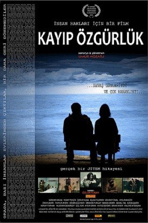 Movie poster for Kayıp Özgürlük (2011)