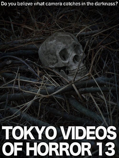 Movie poster for Tokyo Videos of Horror 13 (2015)