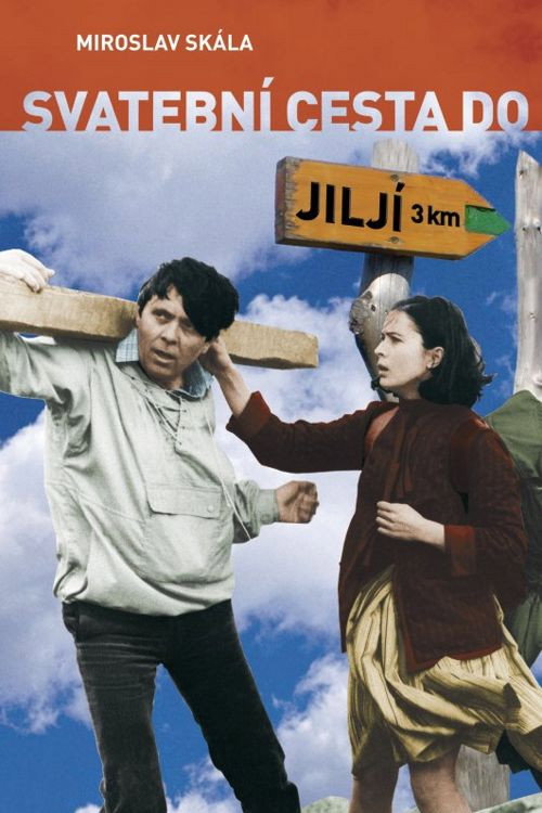 Movie poster for Bridal Tour to Jilji (1984)
