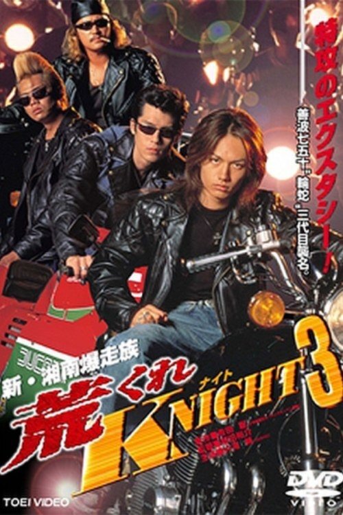 Movie poster for Rough KNIGHT 3 (1999)