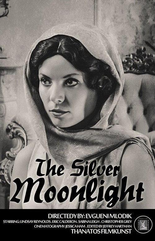 Movie poster for The Silver Moonlight (2015)