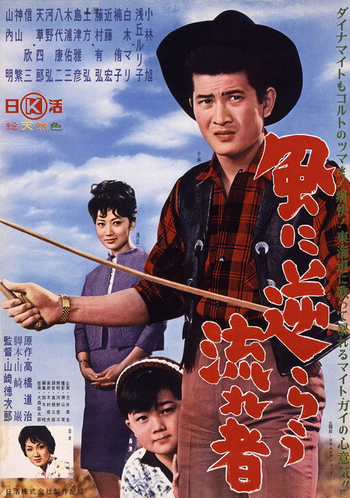 Movie poster for Rambling in the Wind (1961)