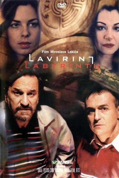 Movie poster for Labyrinth (2002)