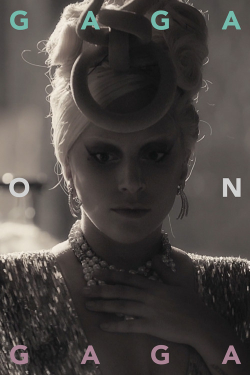 Movie poster for Gaga on Gaga (2016)