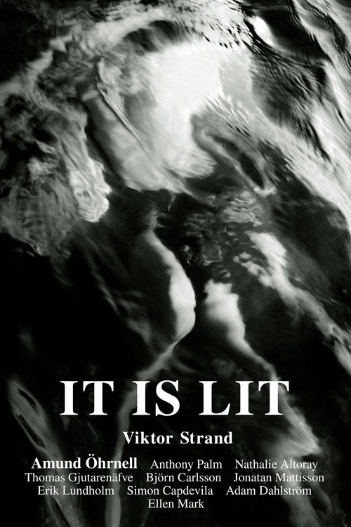 Movie poster for It Is Lit (2024)