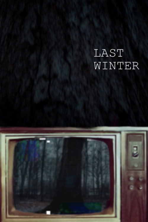 Movie poster for Last Winter