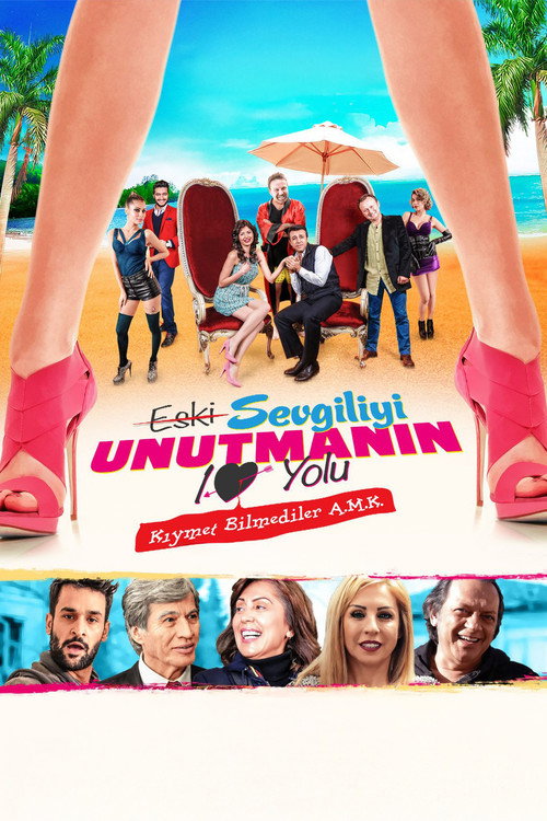 Movie poster for Eski Sevgiliyi Unutmanın 10 Yolu (2015)