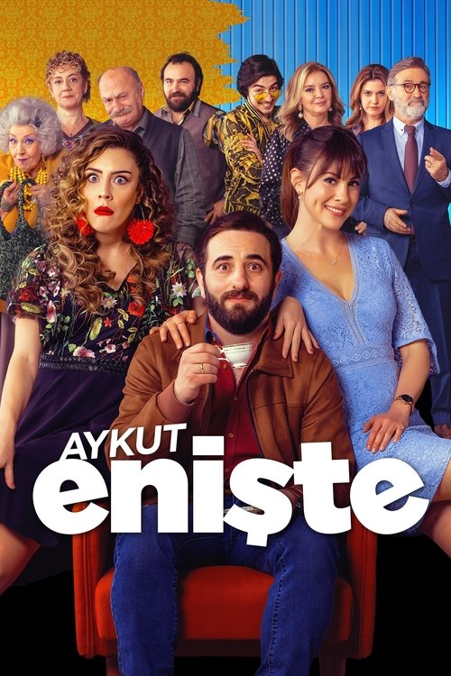Movie poster for Brother in Love (2019)