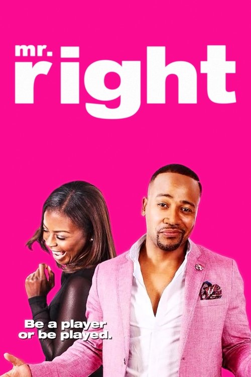 Movie poster for Mr. Right (2015)