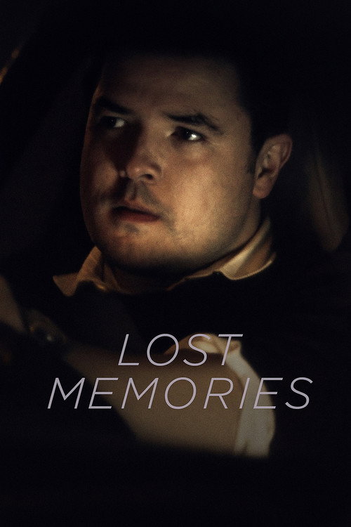 Movie poster for Lost Memories (2017)