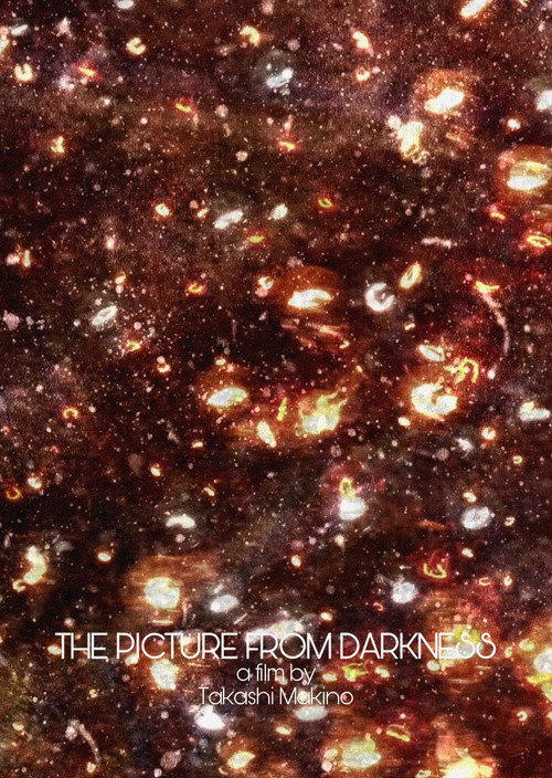Movie poster for The Picture from Darkness (2016)