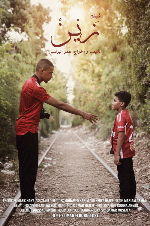 Movie poster for Zein