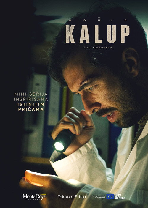 Movie poster for The Mould (2020)