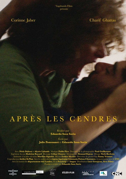 Movie poster for After the Ashes (2016)