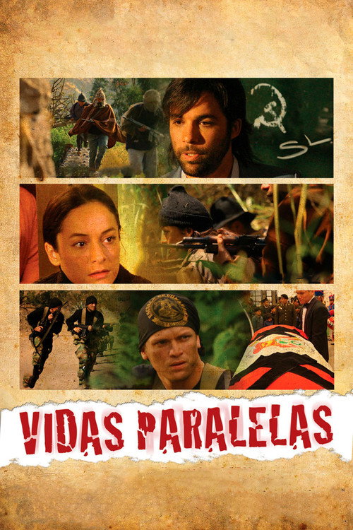 Movie poster for Vidas paralelas (2008)