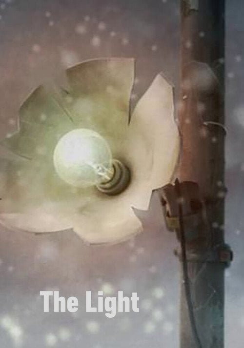 Movie poster for The Light (2010)