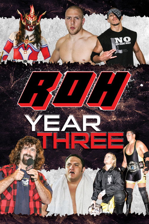 Movie poster for ROH: Year Three (2013)