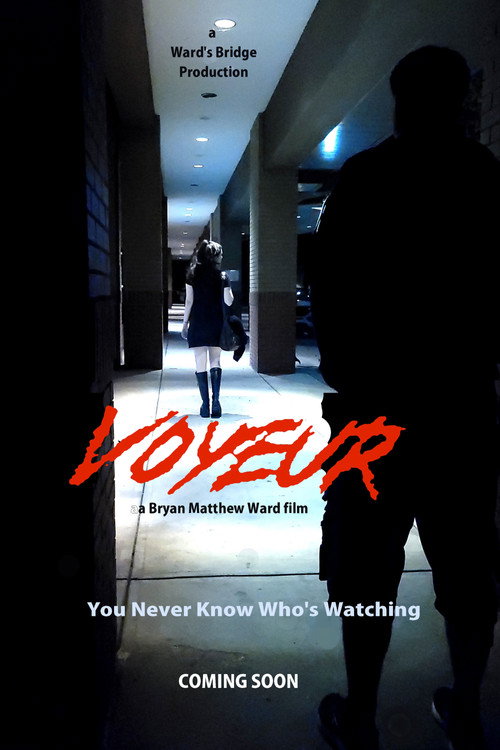 Movie poster for Voyeur
