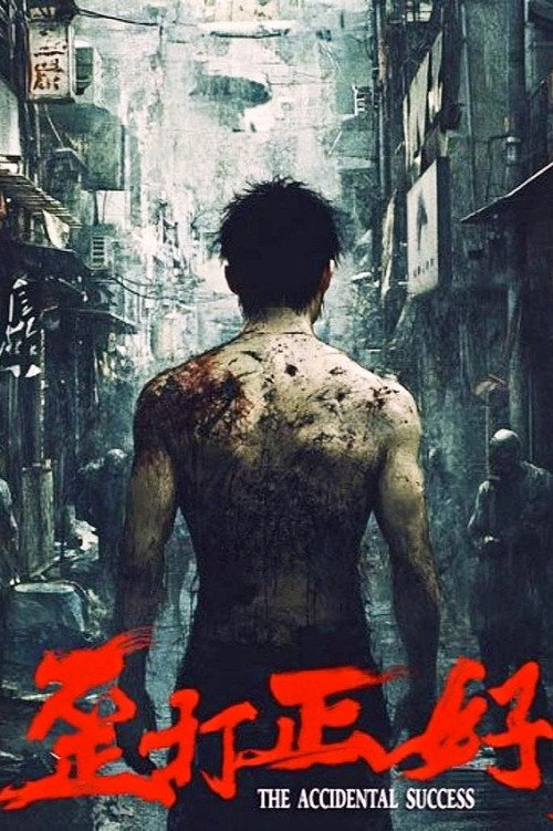 Movie poster for 歪打正好 (2025)