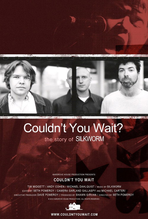Movie poster for Couldn't You Wait? (2013)