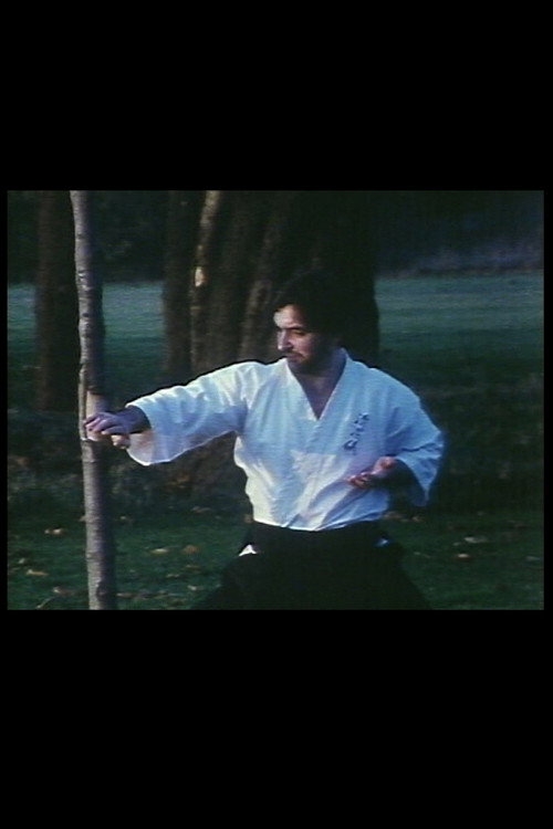 Movie poster for Ice Break (1981)