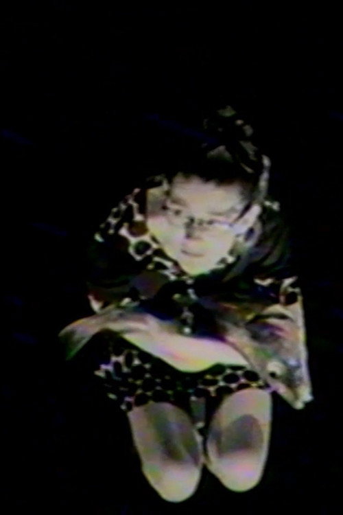 Movie poster for The Fish of Love (1994)