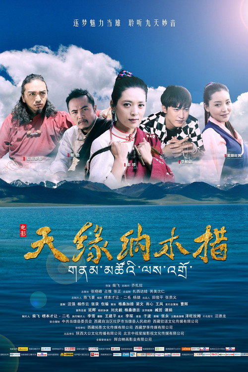 Movie poster for Meet in Namtso (2017)