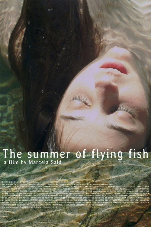 Movie poster for The Summer of Flying Fish (2013)