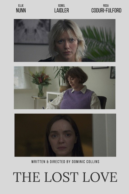Movie poster for The Lost Love (2024)