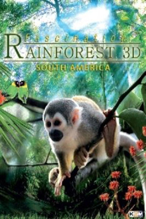 Movie poster for Fascination Rainforest 3D (2012)