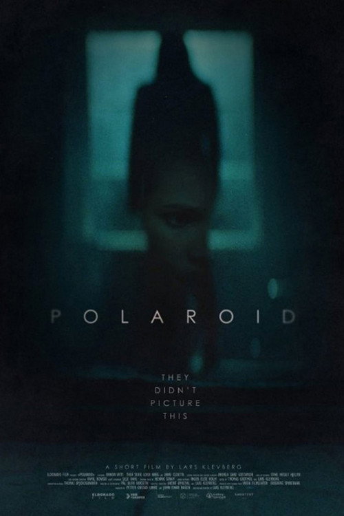 Movie poster for Polaroid (2015)