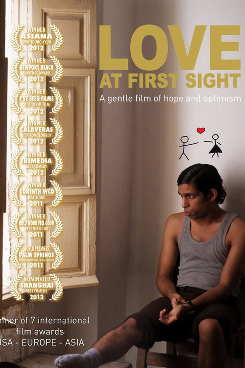 Movie poster for Love at First Sight (2012)