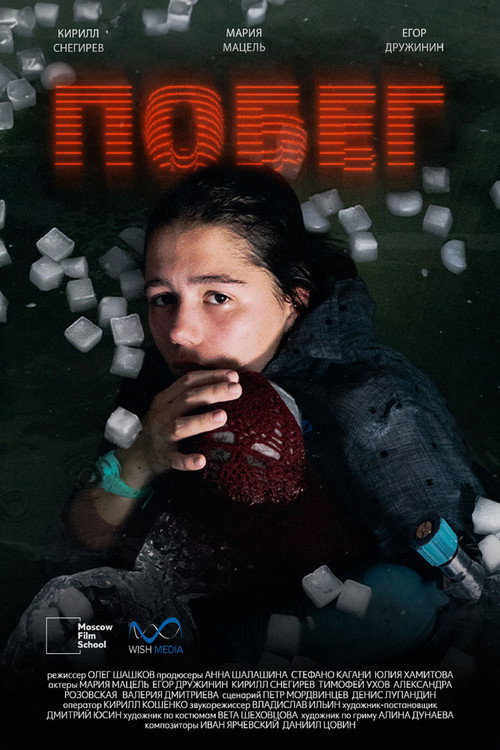 Movie poster for Побег (2024)