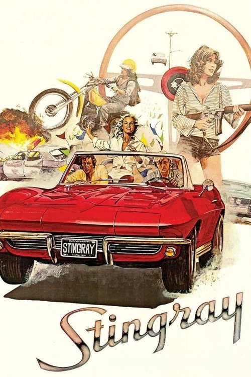 Movie poster for Stingray (1978)