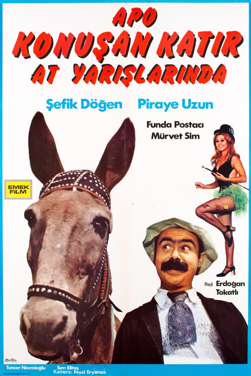 Movie poster for Apo Konuşan Katır At Yarışlarında
