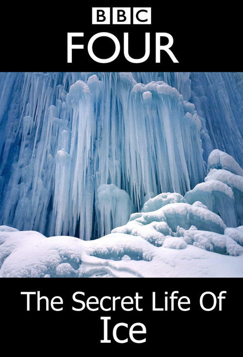 Movie poster for The Secret Life Of Ice (2011)
