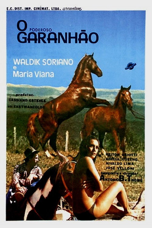 Movie poster for O Poderoso Garanhão (1974)
