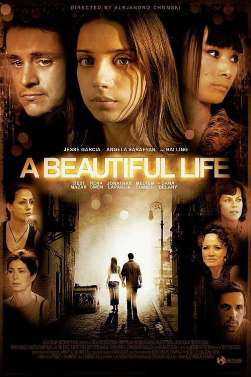 Movie poster for A Beautiful Life (2009)
