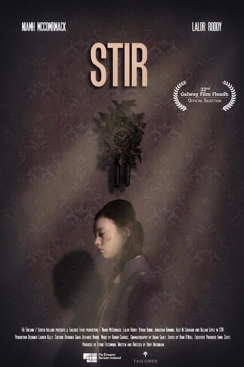 Movie poster for Stir (2020)