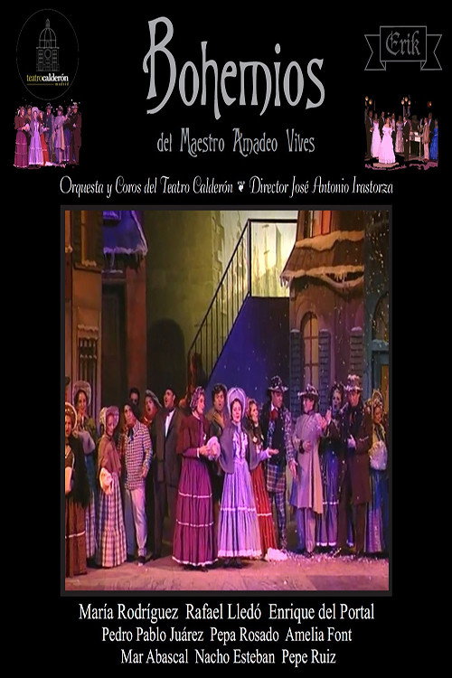 Movie poster for Bohemios de José Antonio Irastorza (1995)