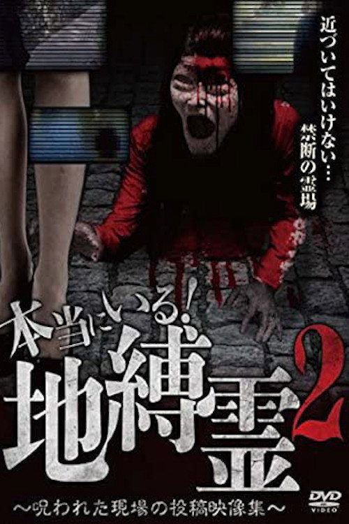 Movie poster for They Really Exist! Earthbound Spirits 2 - Cursed Scene Submitted Video Collection (2016)