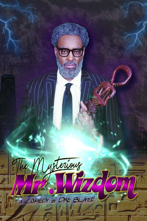 Movie poster for The Mysterious Mr. Wizdom (2020)