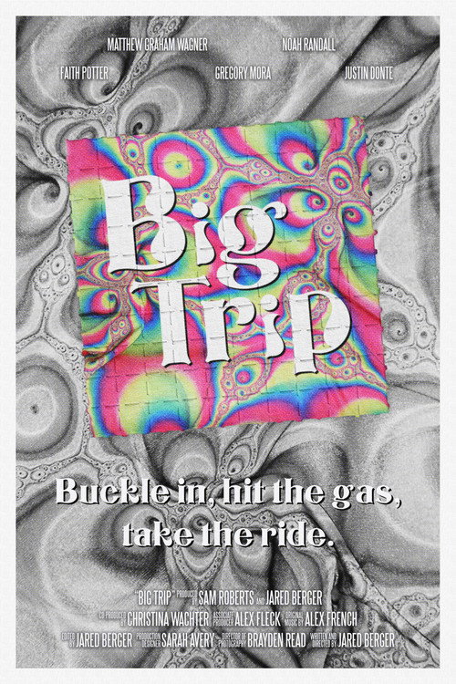 Movie poster for Big Trip (2024)