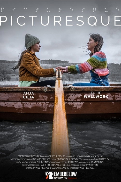 Movie poster for Picturesque (2023)