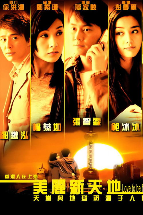 美丽新天地 poster