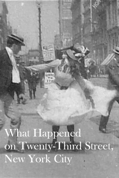Movie poster for What Happened on Twenty-Third Street, New York City (1901)